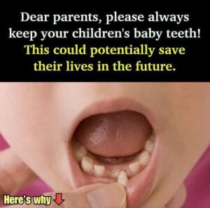 Keep baby’s teeth: They can save your child’s life in the future