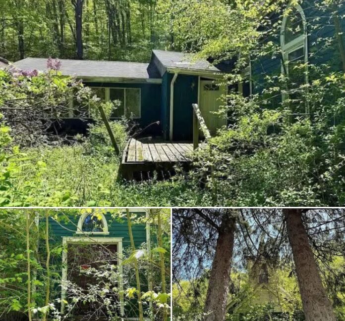 aaa