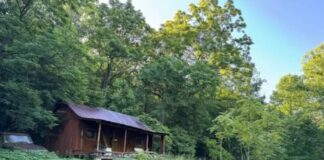 Remote Mountain Hideaway with Cabin, Creek & Expansive Off-Grid Acreage Near Berea, Kentucky