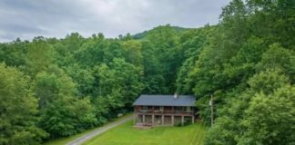Rustic Log Homestead with Pasture, Barn, and Wooded Hills in the Highlands of West Virginia