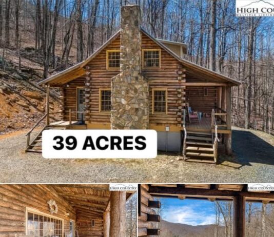 Secluded Mountain Log Cabin on 39 Wooded Acres with Rental History in Burnsville, North Carolina
