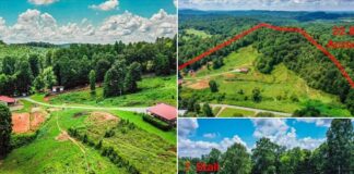 Charming Country Farmhouse Estate on 22.8 Acres with Equestrian Facilities and Smoky Mountain Views