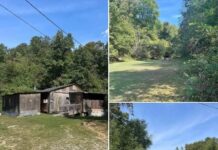 49 Acres in Rush, KY – Cabin with Utilities & Rolling Hills
