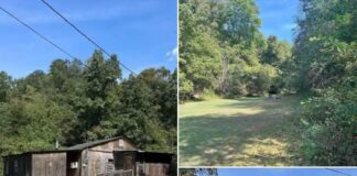 49 Acres in Rush, KY – Cabin with Utilities & Rolling Hills