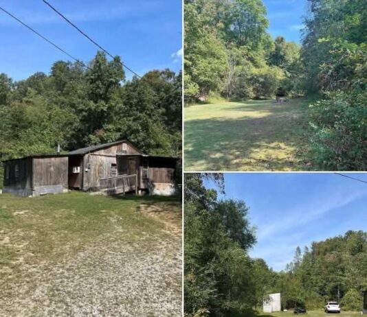 49 Acres in Rush, KY – Cabin with Utilities & Rolling Hills