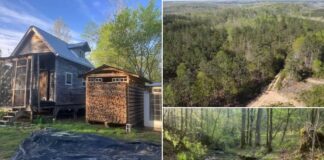 Secluded Tennessee Timberland with Cabin and Creek