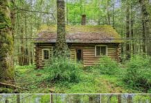 1938 Log Cabin Retreat Overlooking Marshalls Creek, Poconos