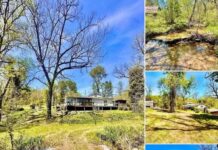 Creekside Ozarks Cottage on 80 Private Acres with Historic Barns & Springs