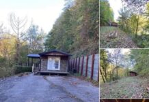 Private 14-Acre Retreat with 3BR Home in Varney, KY