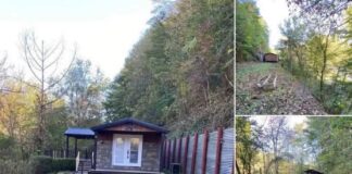 Private 14-Acre Retreat with 3BR Home in Varney, KY