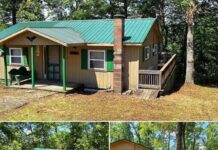 2BR Cabin Retreat in Daniel Boone NF – $87K