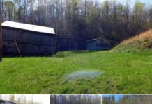 2-Bedroom Cabin on 60 Acres – West Liberty, KY