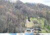 Spacious 4-Bedroom Home on 55 Acres in Beckley, WV