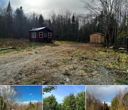 15-Acre Off-Grid Cabin Retreat – Ultimate Wilderness Escape