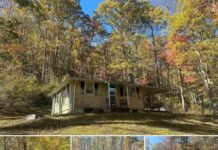 Cabin on 5.5 Acres – Ceres, VA