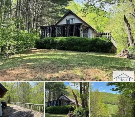 Secluded Woodland Cottage in Woolwine, VA – Stream, Pond & Peaceful Retreat