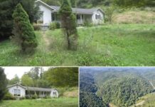 Rustic Farmhouse on 118 Acres with Mountain Views – $215K