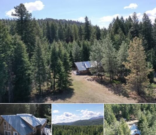 Secluded Cabin Retreat on 5 Acres with Mountain Views