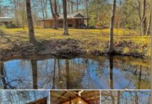 Riverside Cabin in Colmesneil, Texas – Peaceful Getaway