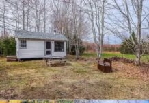1-bed off-grid camp on 90 wooded acres – Saint Mary, NB