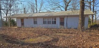Cabin on 40 Acres – Hardy, AR