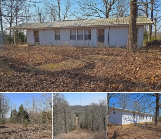 Cabin on 40 Acres – Hardy, AR