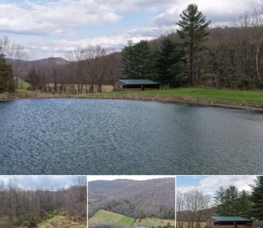 100 Acre Creekfront Hunting Retreat with Remodeled Home