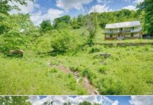 120-Acre Property in Lebanon, VA – Farming, Hunting & Retreat Potential