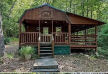 Secluded 10-acre cabin retreat with seasonal creek – $99,000.