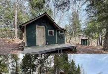 1-bed off-grid cabin on 71 private acres – Canterbury, NB