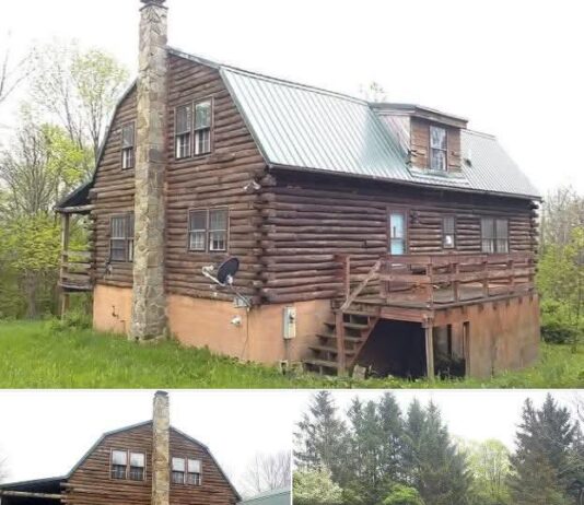 Rustic Log Cabin Retreat on 14+ Acres in Conesus, NY