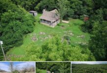 418-Acre Ozarks Riverfront Estate with Cabin, Springs & Timber – Exceptional Opportunity