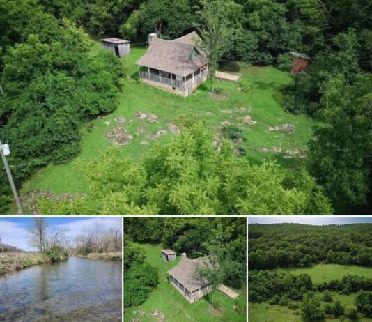 418-Acre Ozarks Riverfront Estate with Cabin, Springs & Timber – Exceptional Opportunity