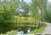 Rustic Cabin for Sale, McKee, KY – Outdoor Living Retreat