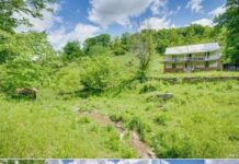 120 scenic acres for sale – Lebanon, VA