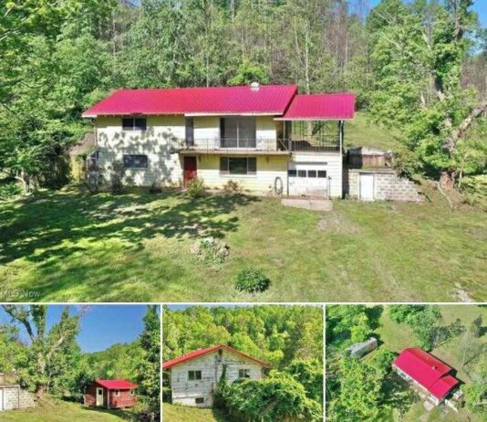 3BR Home on 33.74 Acres with Barn, Orchard & Pond, Smithville WV