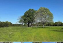 141 acres of Georgia countryside – Concord