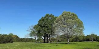 141 acres of Georgia countryside – Concord