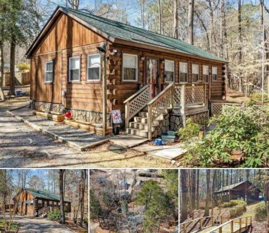 Log Cabin-Style Home on ~0.5 Acre, Louisburg NC