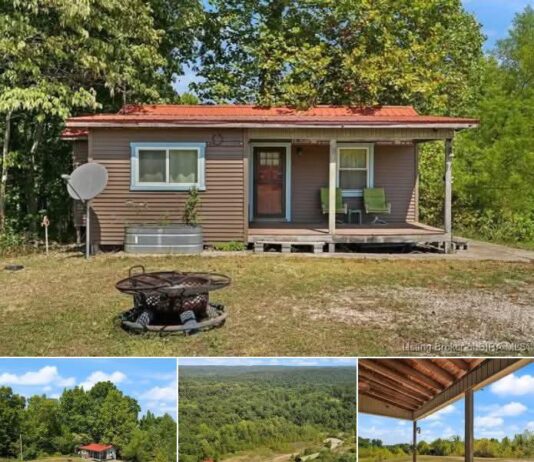 1-Bedroom Rustic Tiny Home on 17 Acres in English, Indiana