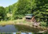 Off-Grid 1BR Cabin on 10 Secluded Acres