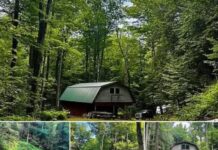 Charming Country Retreat – Endless Potential, $69,999