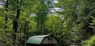 Charming Country Retreat – Endless Potential, $69,999