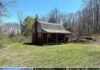 1BR Cabin on Nearly 40 Acres in Portville, NY