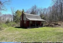 1BR Cabin on Nearly 40 Acres in Portville, NY
