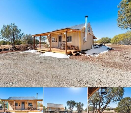 1BR Cabin on 10.44 Acres in Ash Fork, AZ