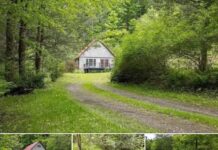 Cozy Cabin in Scenic Hills of Wellsboro, PA