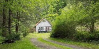 Cozy Cabin in Scenic Hills of Wellsboro, PA