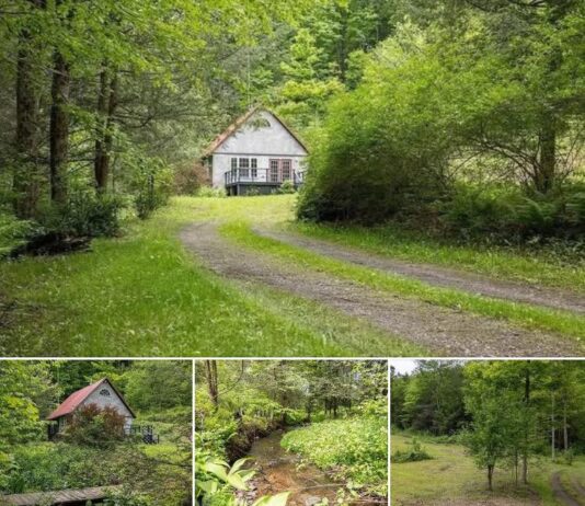 Cozy Cabin in Scenic Hills of Wellsboro, PA