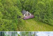 Mountain Home with Guest Cabin on 52 Acres – Ceres, Virginia